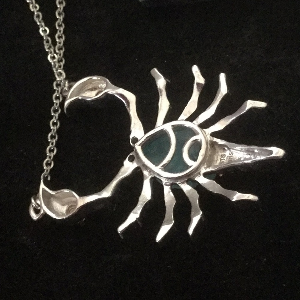 Exquisite Genuine Fluorite & Tanzanite Scorpion - Picture 3 of 8